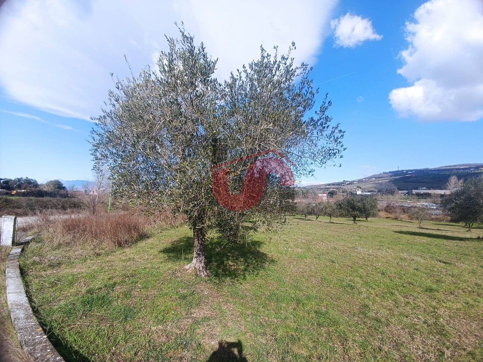 Helårsgrund i Benevento, Benevento - foto 4