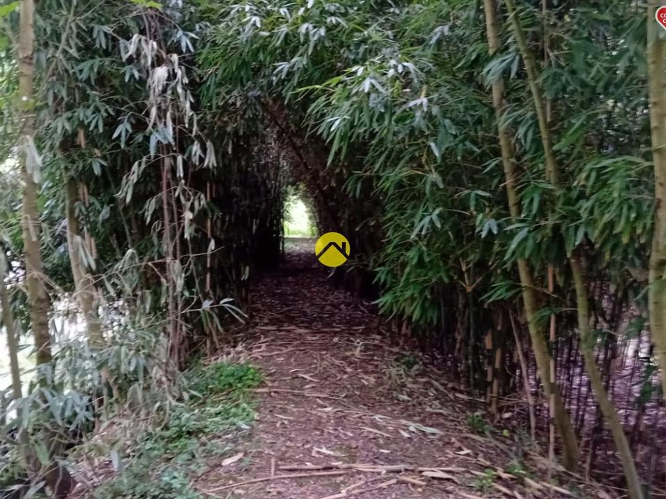 Helårsgrund i Bourges, Cher - foto 3