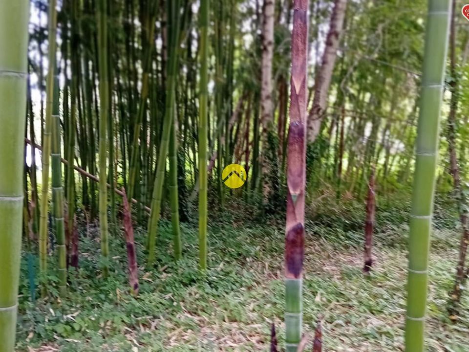 Helårsgrund i Bourges, Cher - foto 5