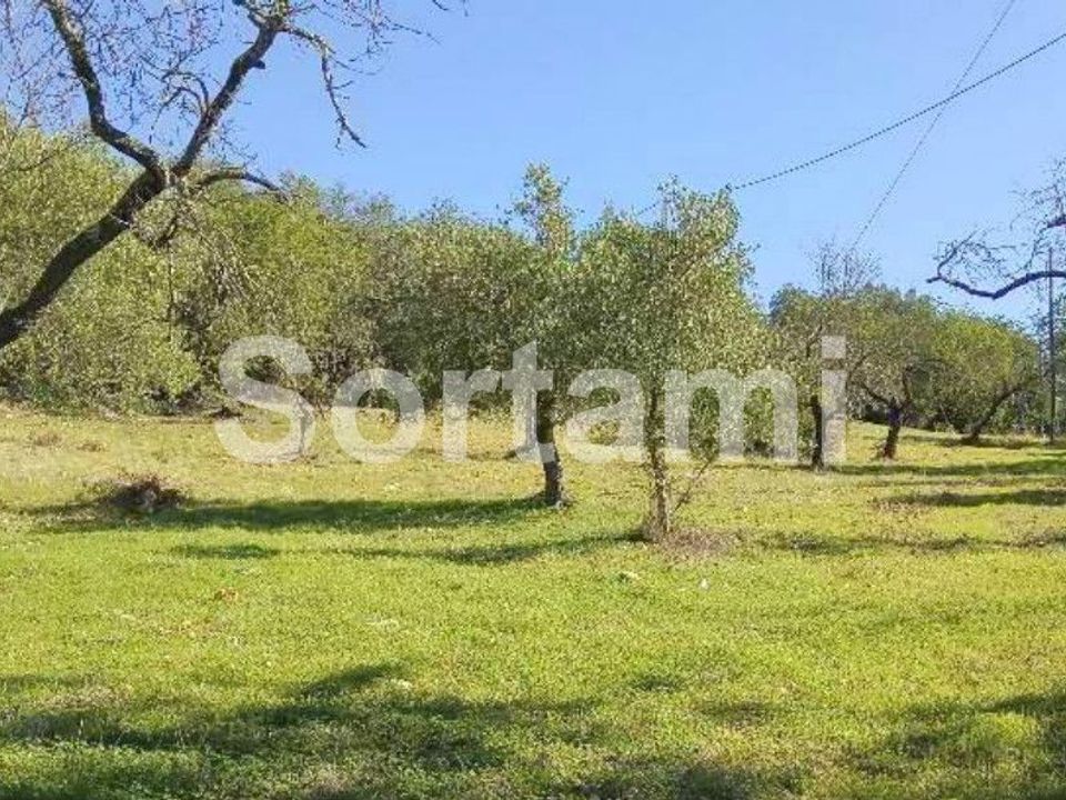 Helårsgrund i Sao Bras de Alportel, Faro - foto 1