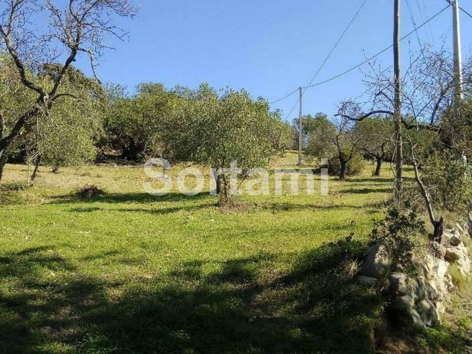 Helårsgrund i Sao Bras de Alportel, Faro - foto 2