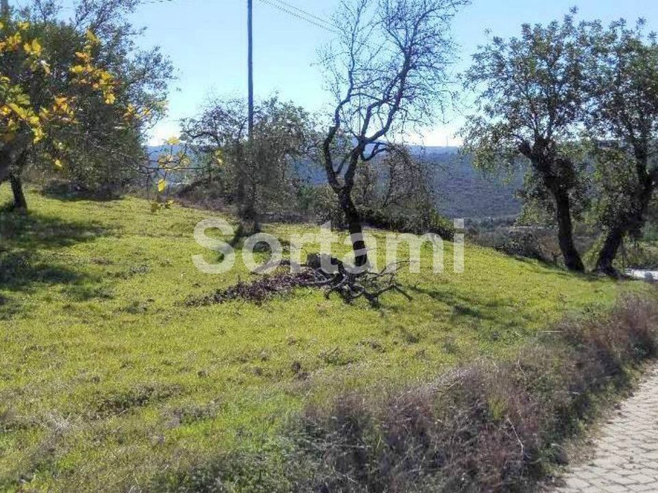 Helårsgrund i Sao Bras de Alportel, Faro - foto 3