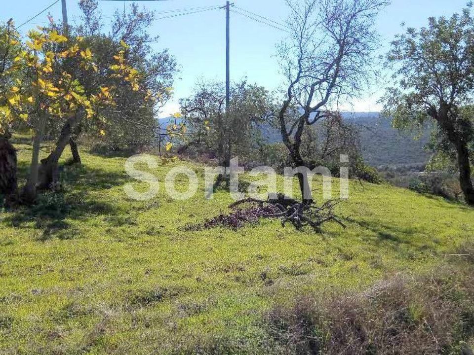 Helårsgrund i Sao Bras de Alportel, Faro - foto 4