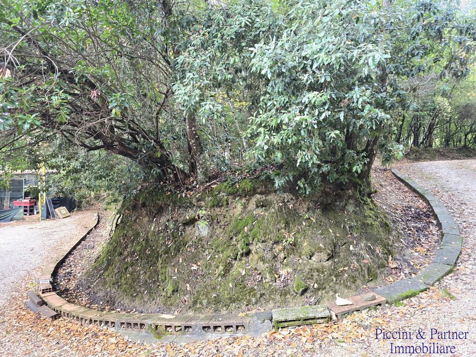 Villa i Bettona, Perugia - foto 4