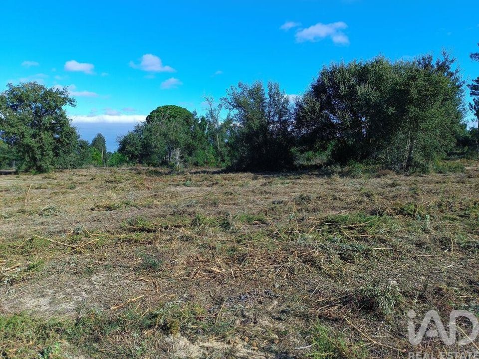 Helårsgrund i Sesimbra, Setubal - foto 2