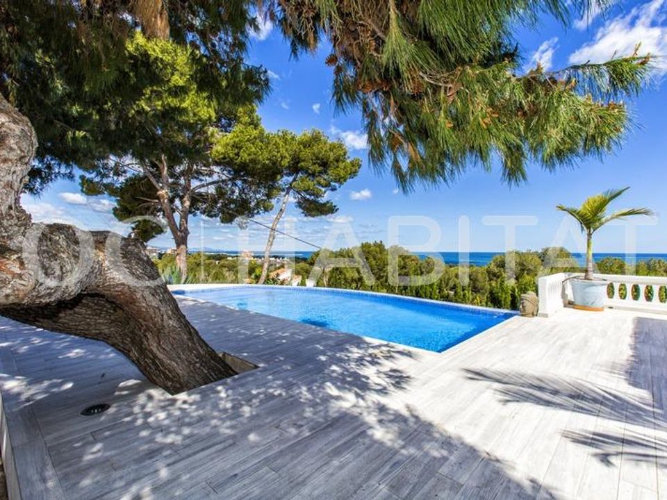 Villa i Denia, Alicante - foto 4