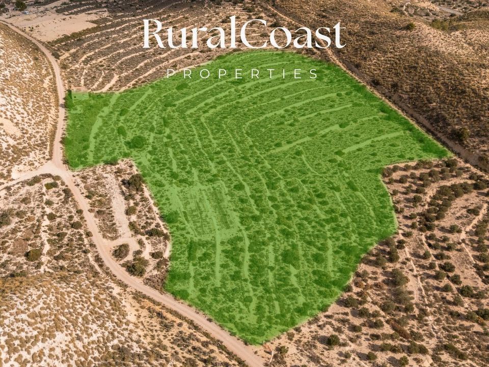 Finca i Busot, Alicante - foto 1