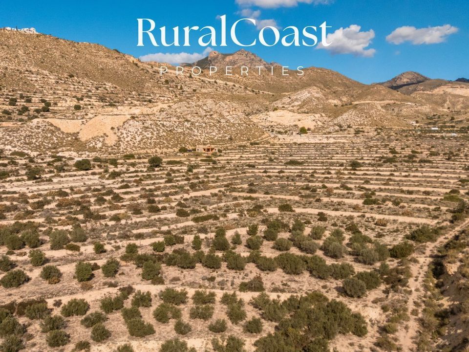 Finca i Busot, Alicante - foto 2