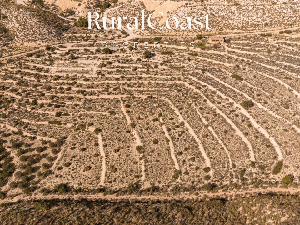 Finca i Busot, Alicante - foto 4