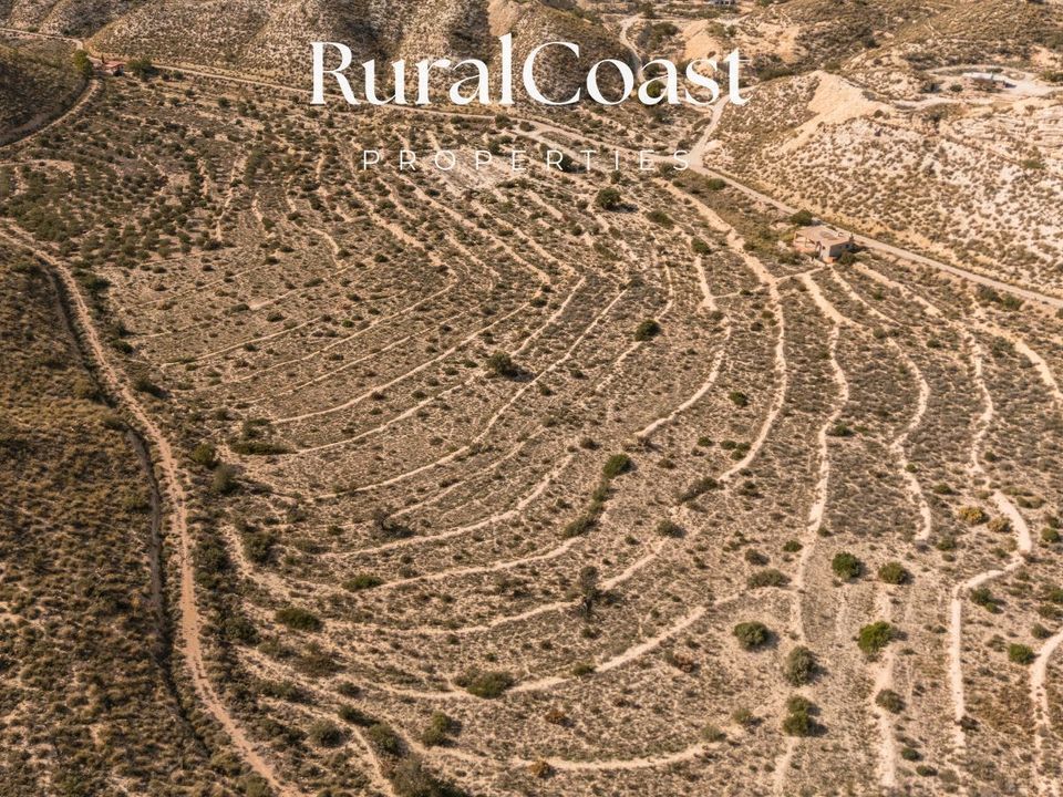 Finca i Busot, Alicante - foto 5