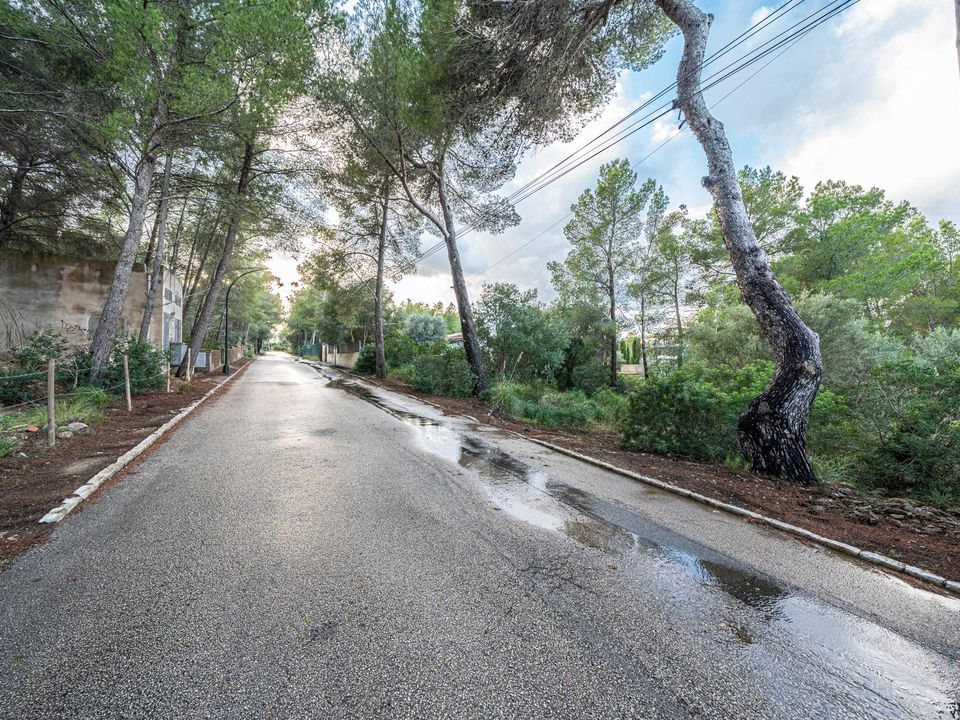 Terra a Betlem, Mallorca - foto 1