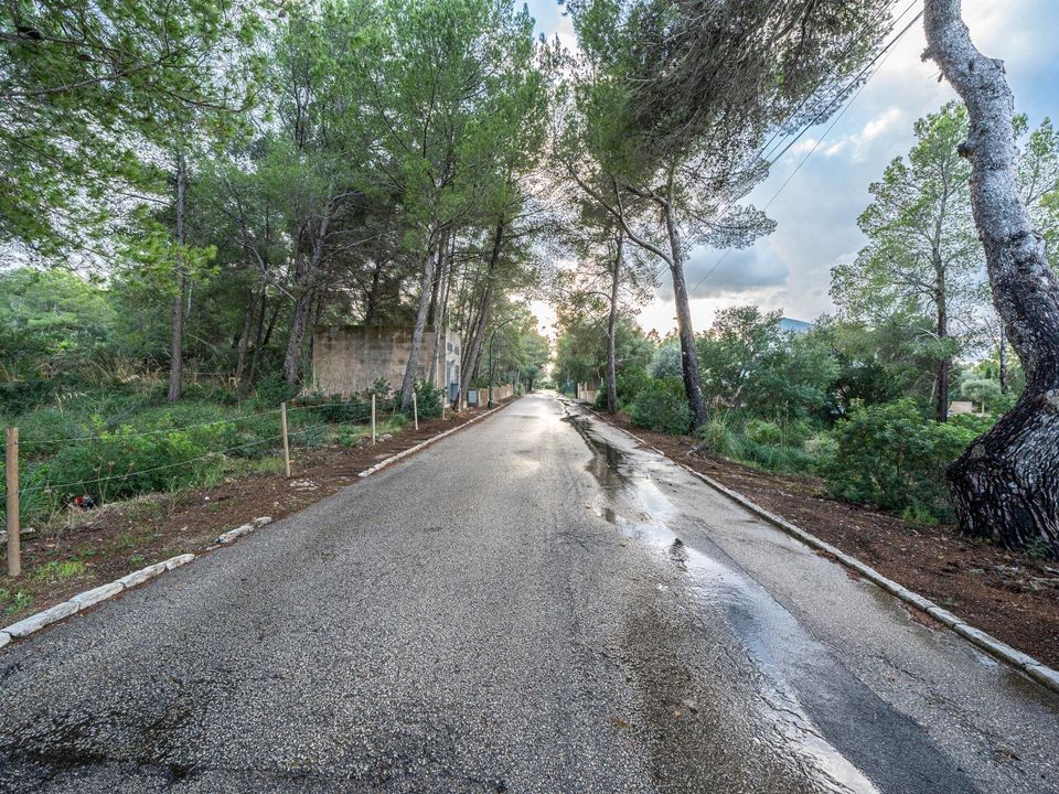 Terra a Betlem, Mallorca - foto 2