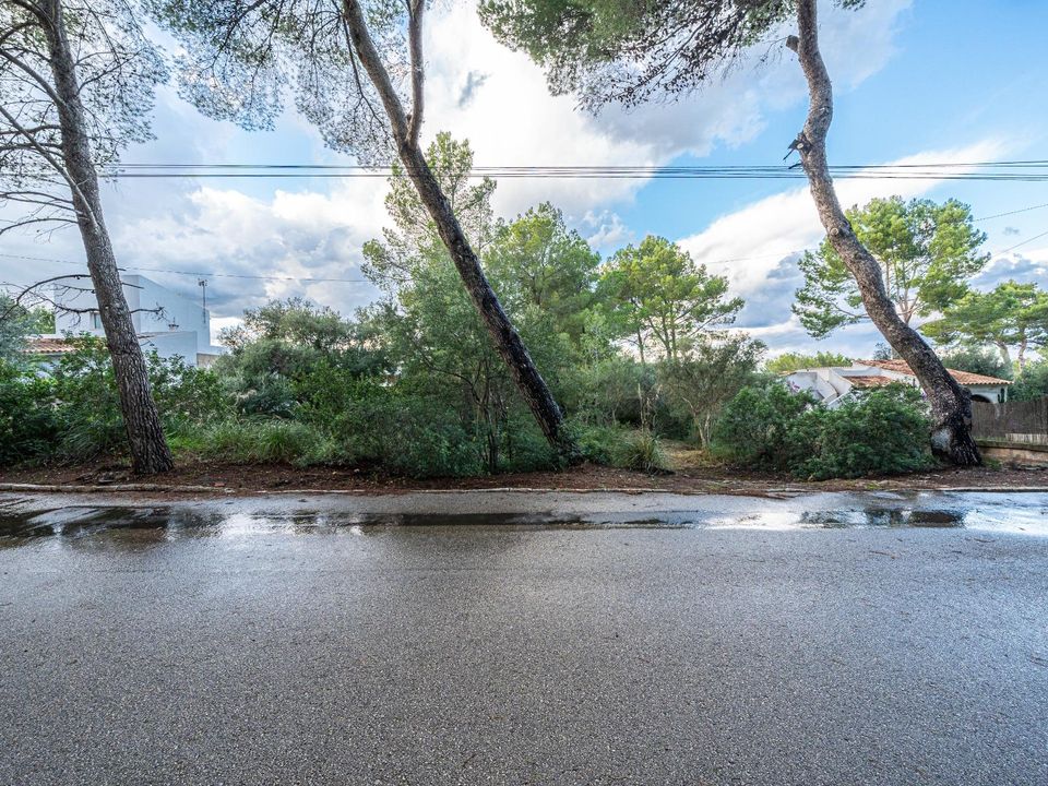 Terra a Betlem, Mallorca - foto 3
