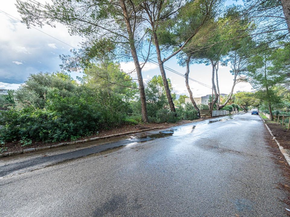 Terra a Betlem, Mallorca - foto 4