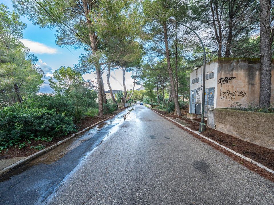 Terra a Betlem, Mallorca - foto 5