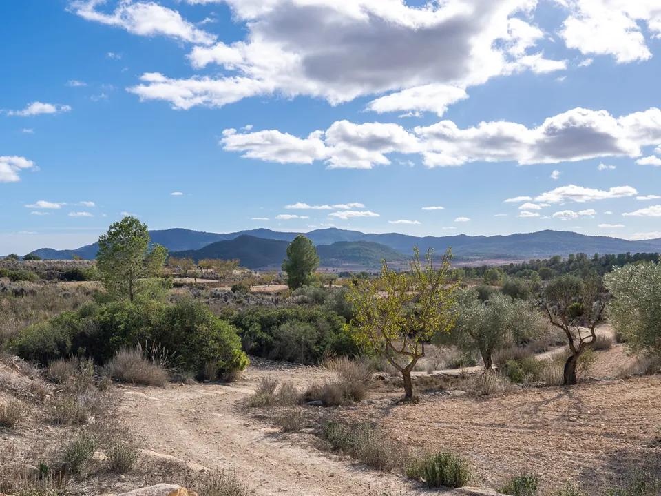 Landejendom i Monovar, Alicante - foto 4