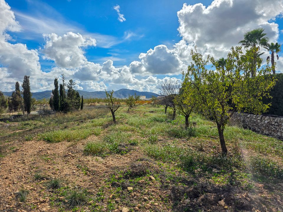 Landejendom i Abanilla, Murcia - foto 2