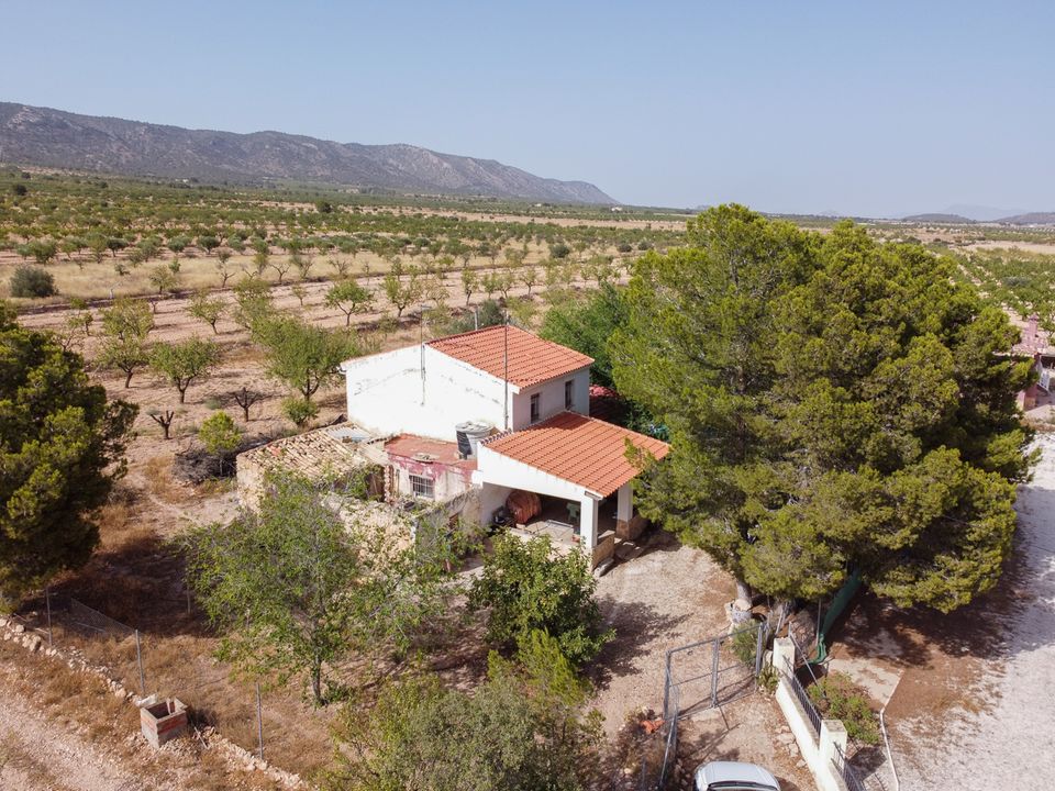 Masia a Pinoso, Alicante - foto 3