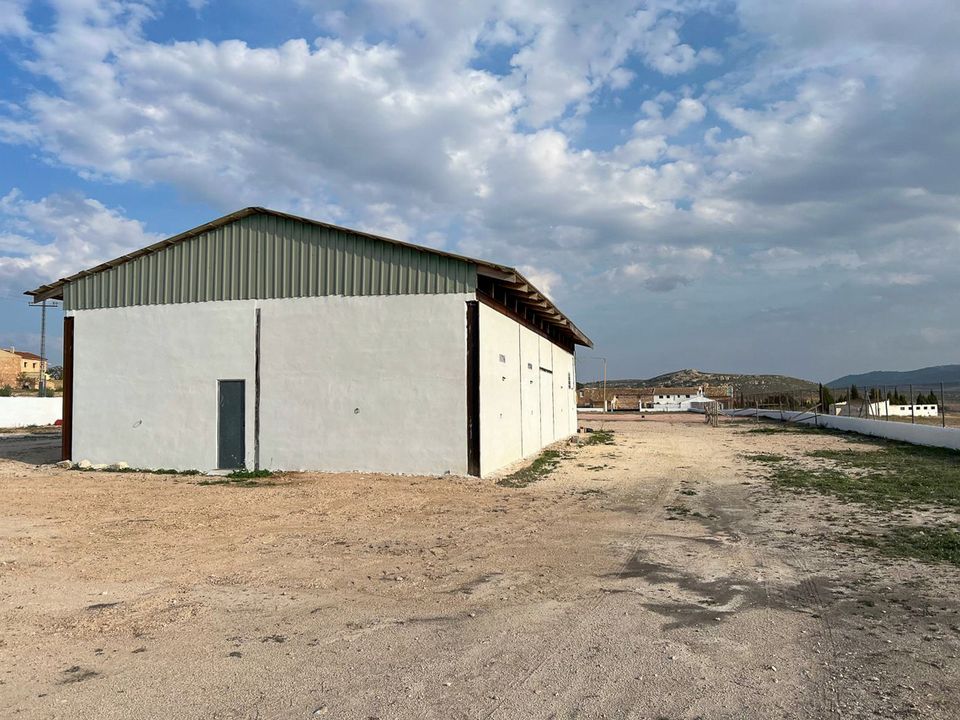 Villa i Torre Del Rico, Murcia - foto 2