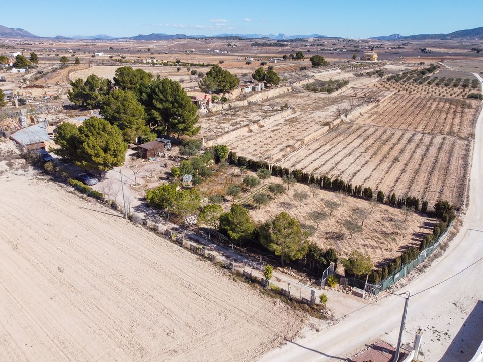 Landejendom i Pinoso, Alicante - foto 2