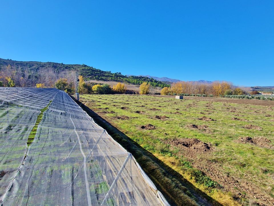 Landejendom i Jayena, Granada - foto 4