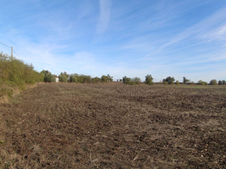 Farm i Beja, Beja - foto 1