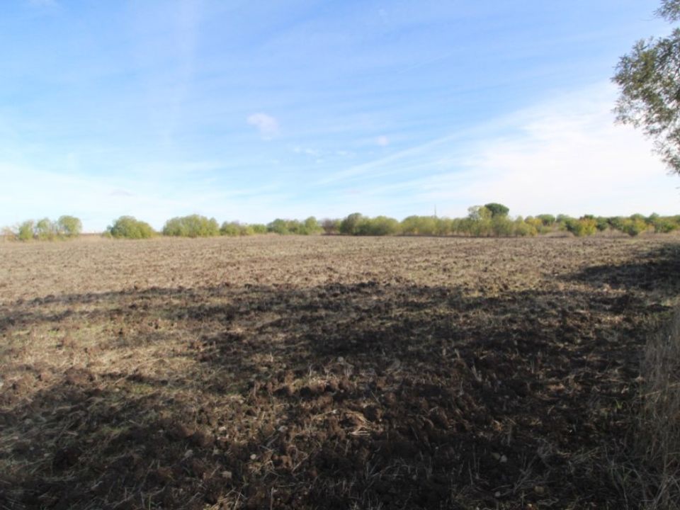 Farm i Beja, Beja - foto 3