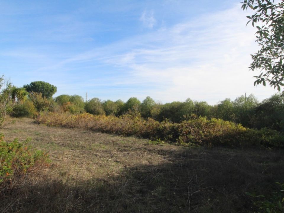 Farm i Beja, Beja - foto 4