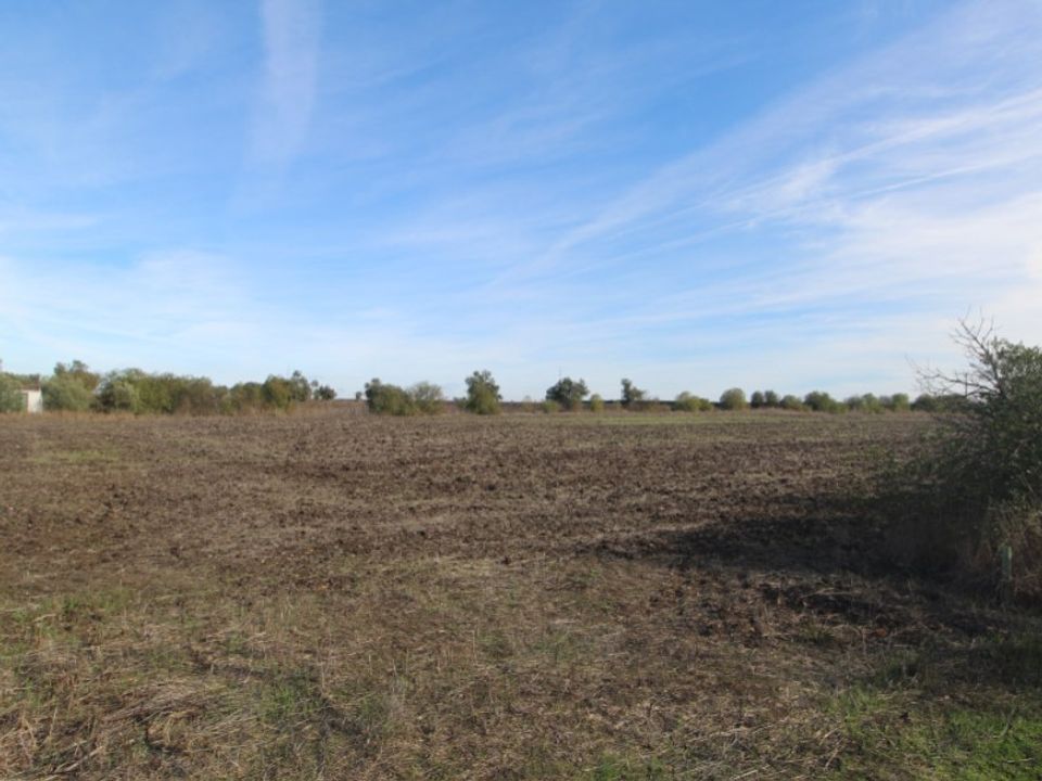 Farm i Beja, Beja - foto 5