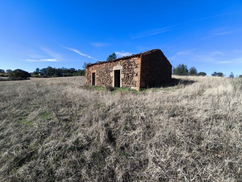 Farm i Vale de Prazeres e Mata da Rainha, Castelo Branco - foto 2