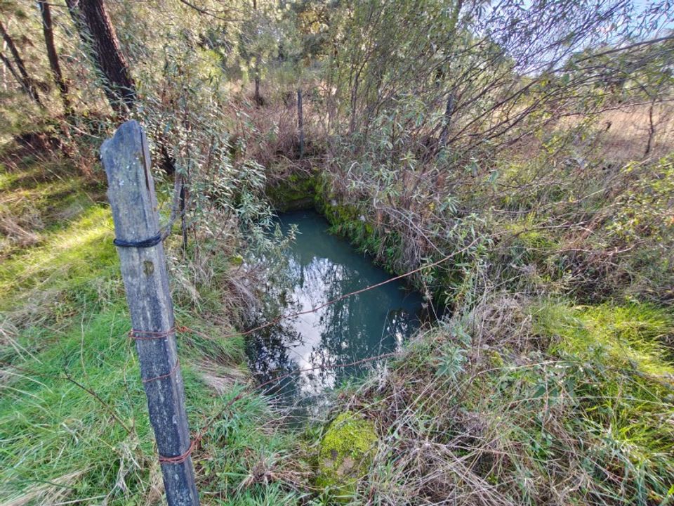 Farm i Vale de Prazeres e Mata da Rainha, Castelo Branco - foto 4