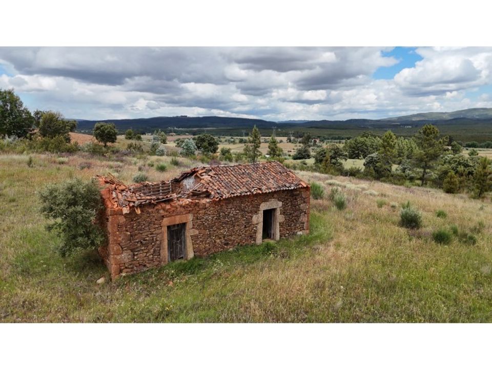 Granja a Vale de Prazeres e Mata da Rainha, Castelo Branco - foto 1