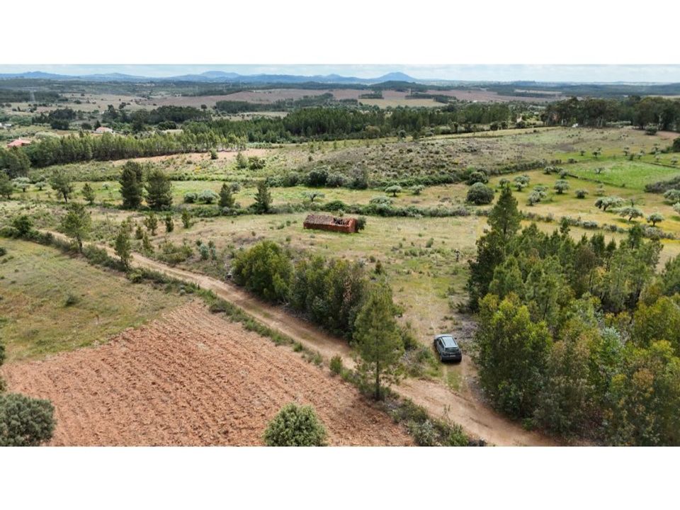Granja a Vale de Prazeres e Mata da Rainha, Castelo Branco - foto 2