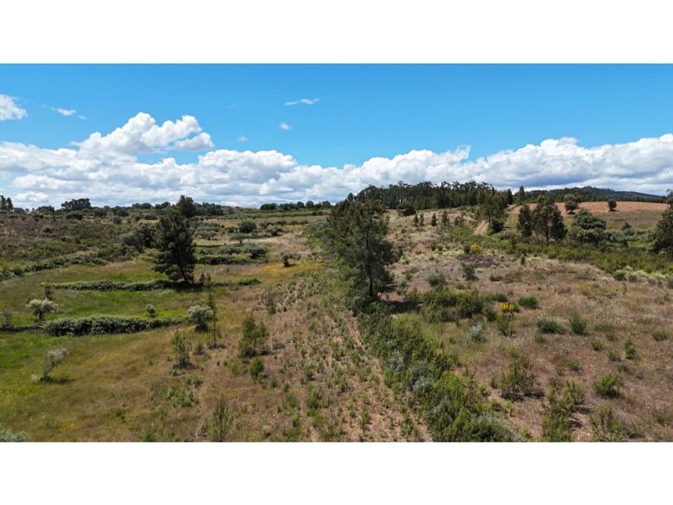 Granja a Vale de Prazeres e Mata da Rainha, Castelo Branco - foto 3