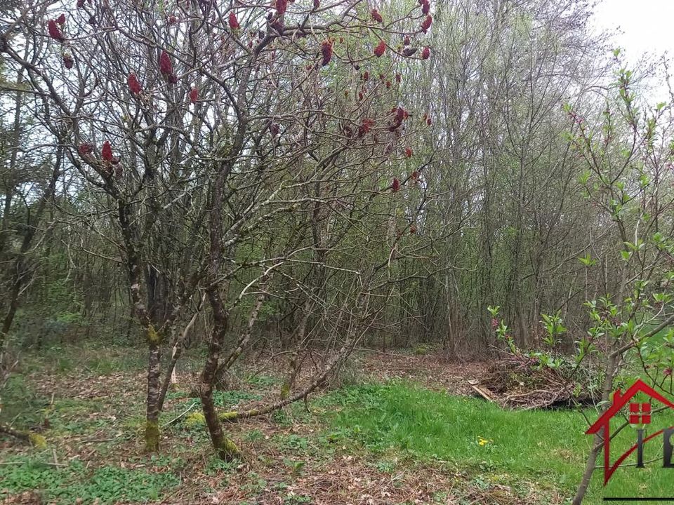 Helårsgrund i Saint-Germain-lès-Arlay, Jura - foto 2