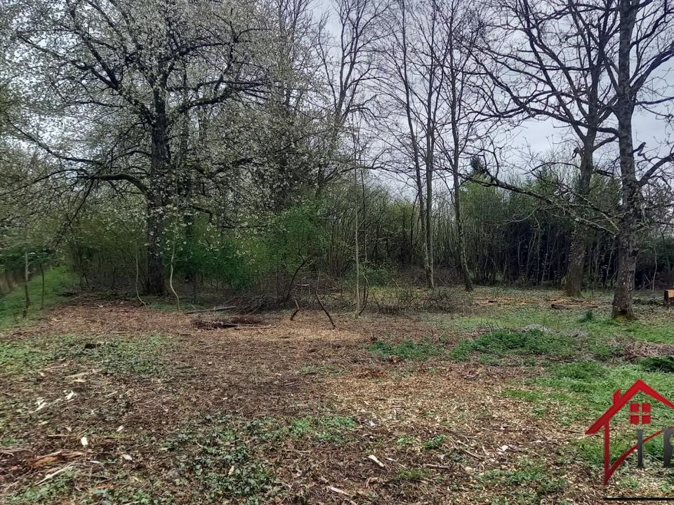 Helårsgrund i Saint-Germain-lès-Arlay, Jura - foto 3