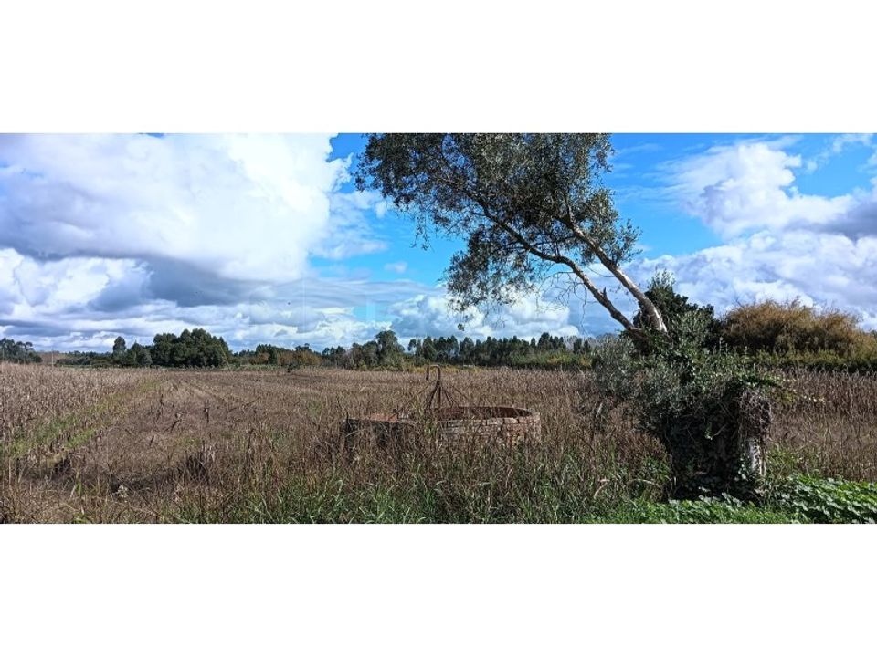 Tomt i Arouca, Aveiro - bilde 3