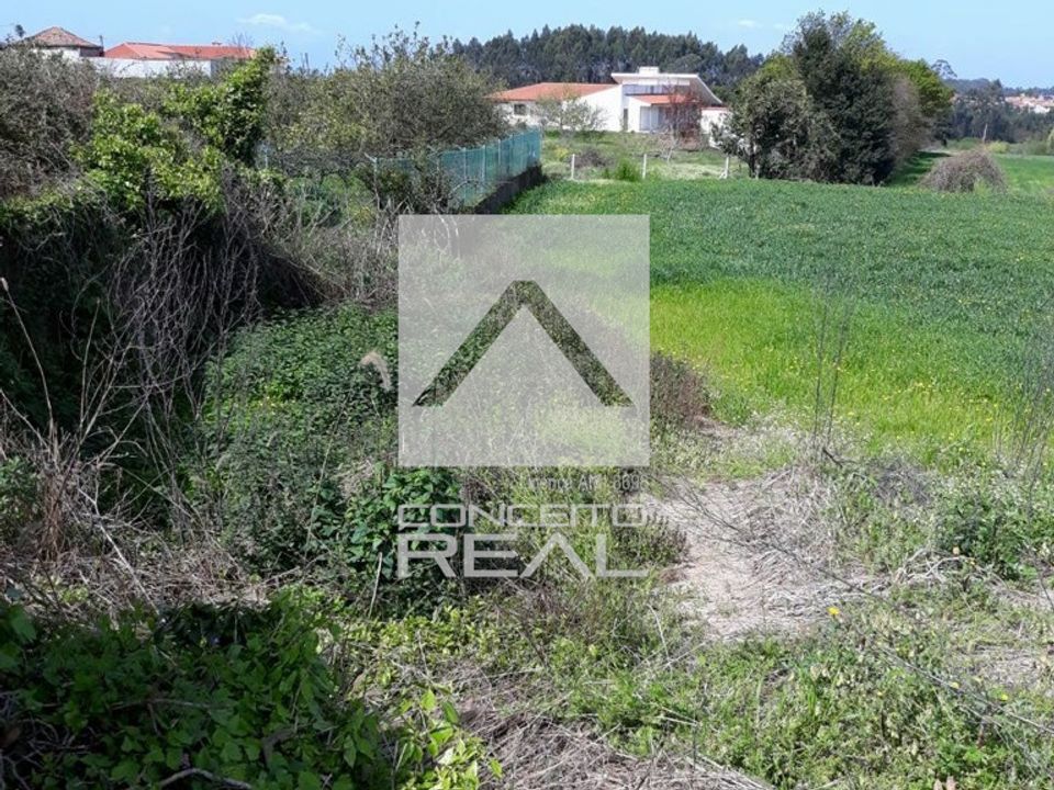 Tomt i Vila do Conde, Porto - bilde 5
