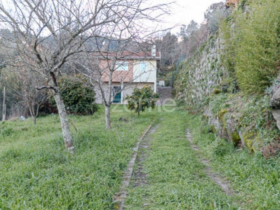 Farm i Cinfaes, Viseu - foto 1