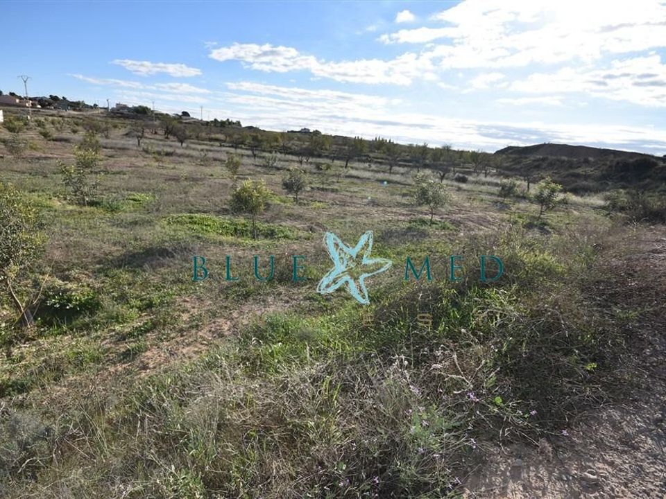 Helårsgrund i Totana, Murcia - foto 2