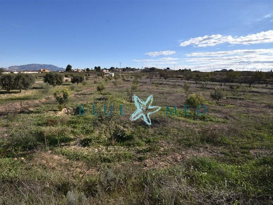 Helårsgrund i Totana, Murcia - foto 3