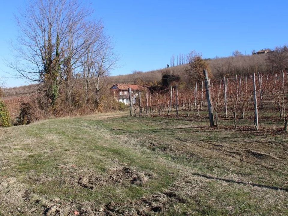 Herregård i Dogliani, Cuneo - bilde 2
