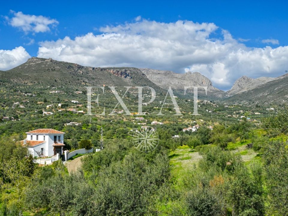 Landejendom i Alcaucin, Malaga - foto 4
