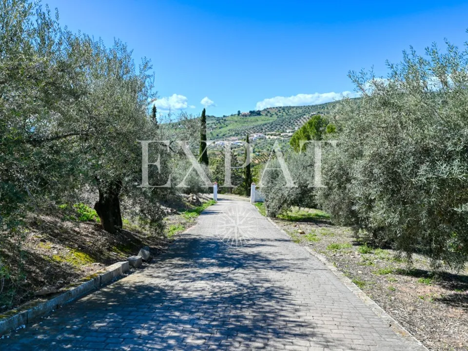Landejendom i Alcaucin, Malaga - foto 5