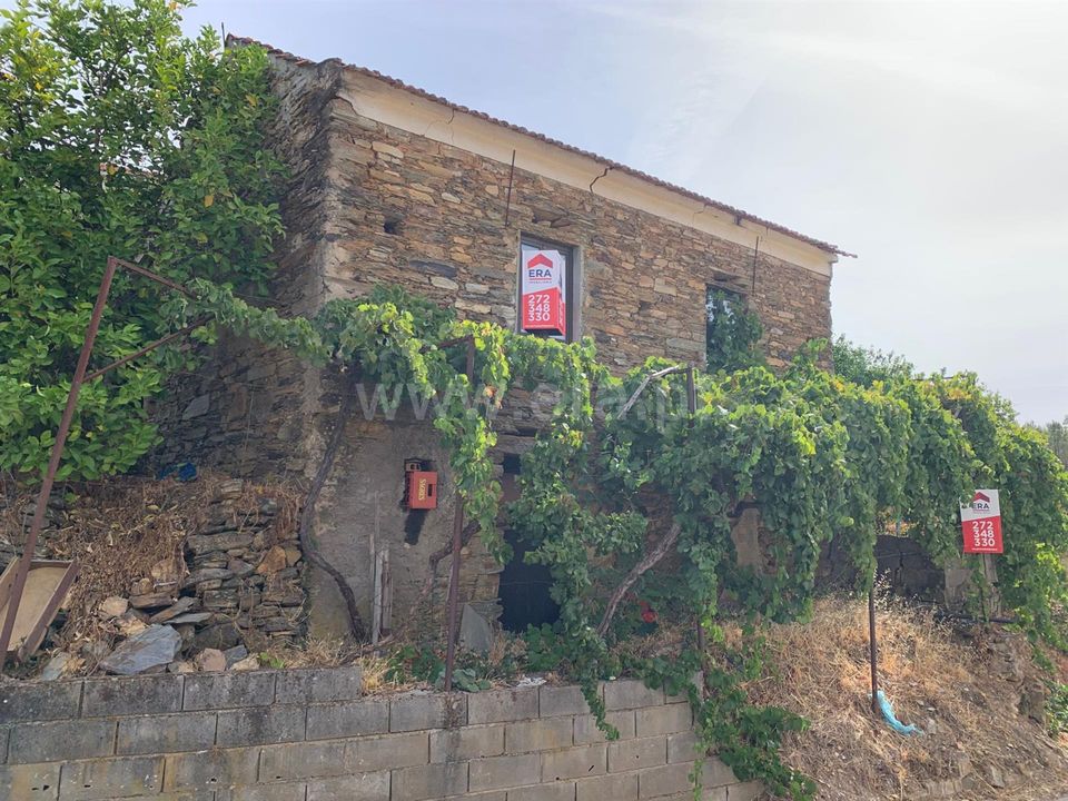 Villa i Proenca-a-Nova, Castelo Branco - bilde 1