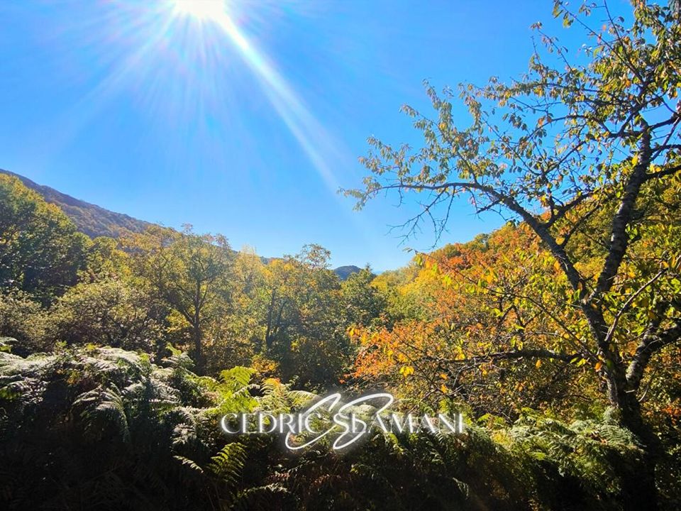 Terra a Castans, Aude - foto 1