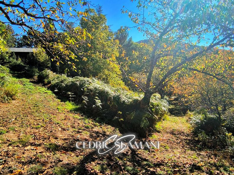 Terra a Castans, Aude - foto 2