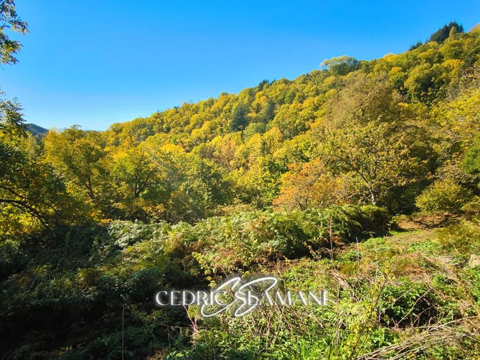 Terra a Castans, Aude - foto 3