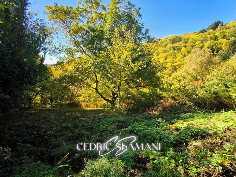Terra a Castans, Aude - foto 4