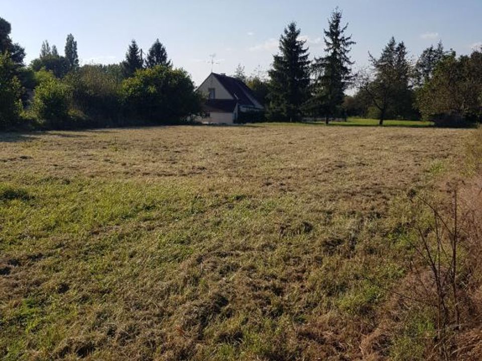 Terra a La Cour-Marigny, Loiret - foto 1
